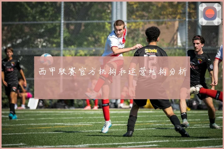 西甲联赛官方机构和运营结构分析