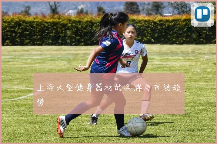 上海大型健身器材的品牌与市场趋势