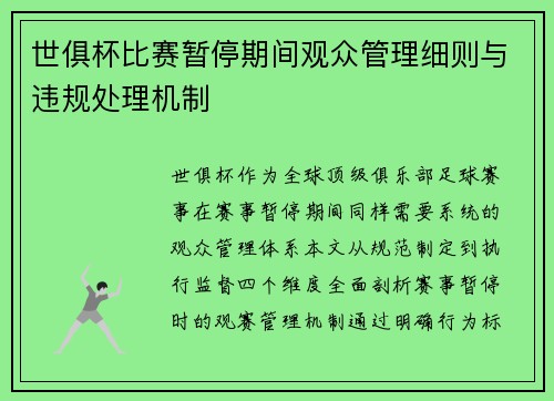 世俱杯比赛暂停期间观众管理细则与违规处理机制